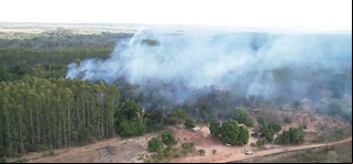 Incêndios atingem várias regiôes no Maranhão.